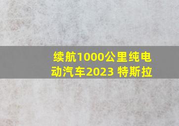 续航1000公里纯电动汽车2023 特斯拉